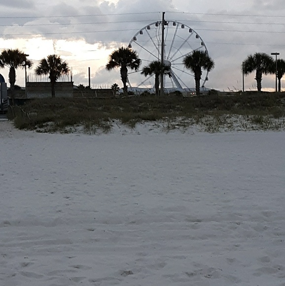 Meet your Posher, Tabitha - Picture 1 of 1